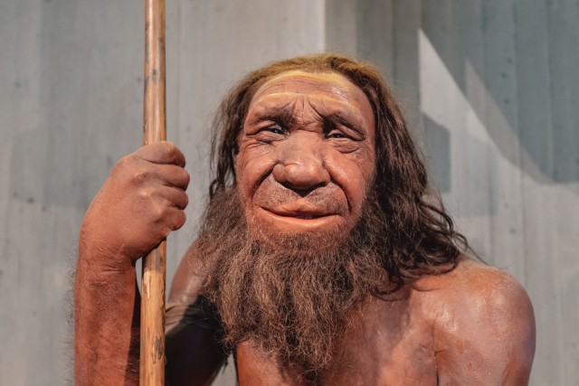 Создать мем: человек разумный неандертальский, неандерталец homo neanderthalensis, неандерталец денисовец сапиенс