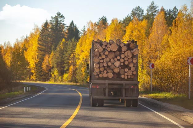 Create meme: truck with logs, forest logs, felling of the forest