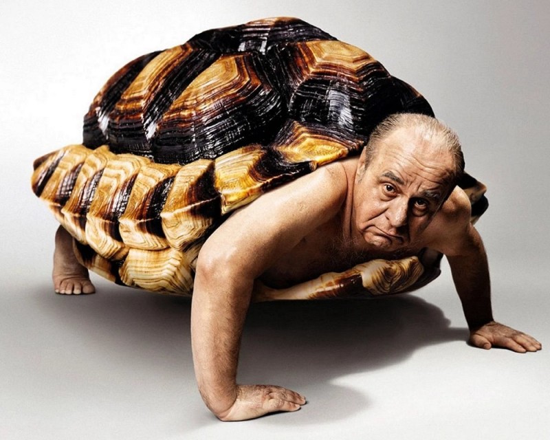 Create meme: turtle man, turtle in a shell, the turtle is funny