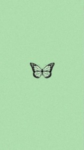 Create meme: butterfly on white, butterfly stencil, butterfly