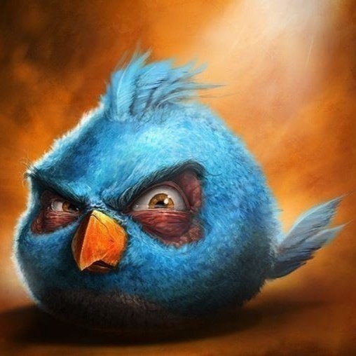 Создать мем: realistic angry birds, птички angry birds, злая птица из энгри бердз