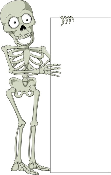 Создать мем: скелет, кости скелета, скелет рисунок