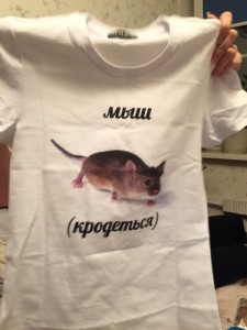 Create meme: Mouse, sneaks the mouse, the mouse kradetsya