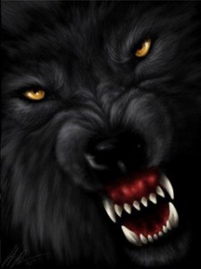 Create meme: pictures the grin of a wolf with the words, the evil wolves pictures with words, fangs of the werewolf pictures
