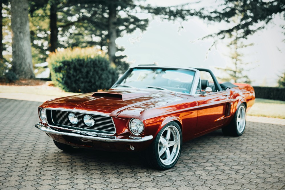 ford mustang 1969 shelby