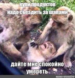 Create meme: let me die in peace monkey