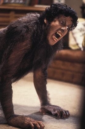 Создать мем: кот, american werewolf, американский оборотень в лондоне 1981