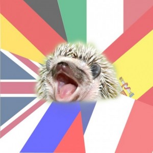 Создать мем: зевающие животные, ежи, hedgehog