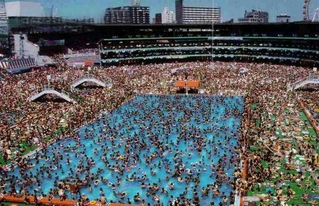 Create meme: immigration, Tokyo in summer, crowded swimming pool in china