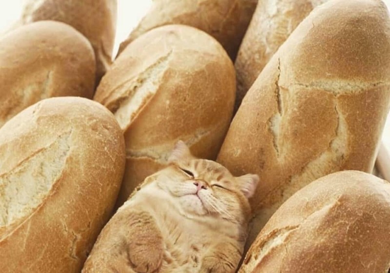 Создать мем: хлеб, домашний хлеб, свежий хлеб