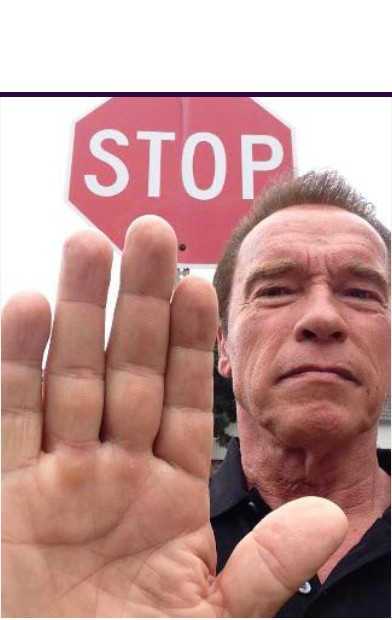 Create meme: Schwarzenegger stop the meme, Arnold Schwarzenegger shows stop, arnold schwarzenegger meme