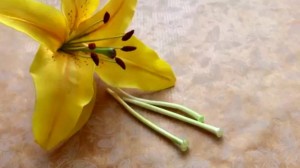 Создать мем: лепестки желтой лилия на белом фоне, лилии из фоамирана, пестик для лилии из фоамирана