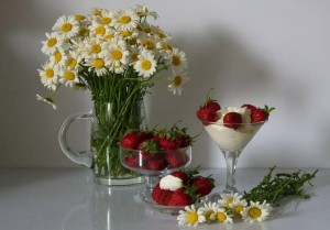 Create meme: Daisy morning still life, photonaturalist with daisies and berries, photonaturalist with daisies