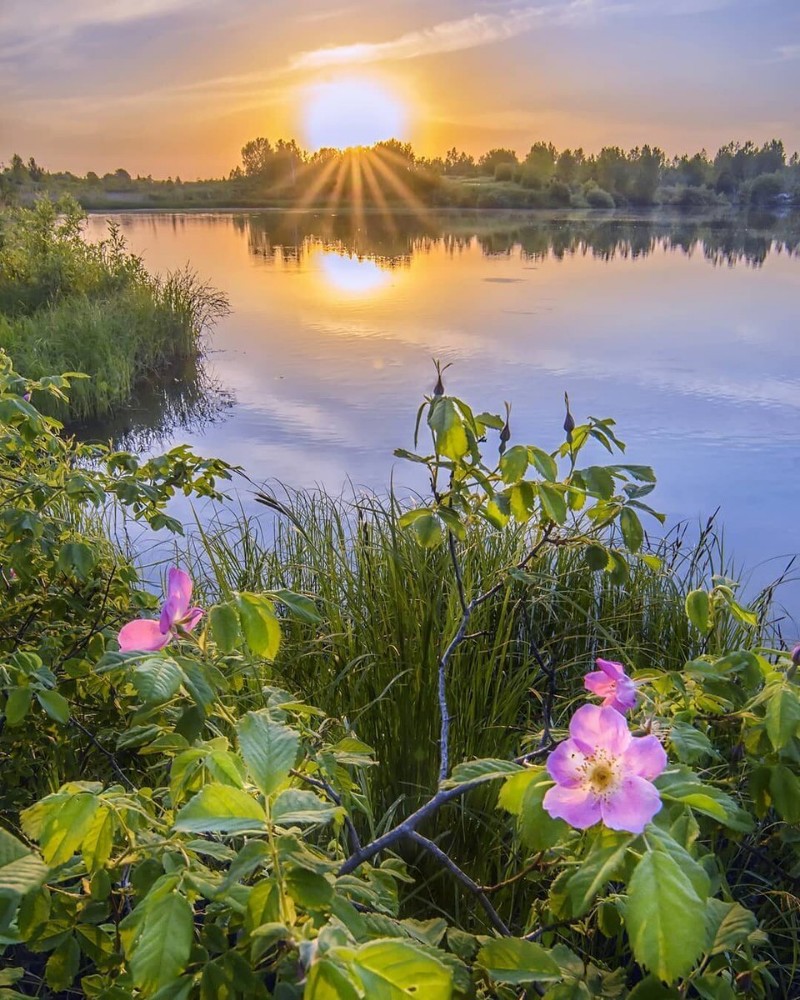 хорошего дня картинки анимация природа