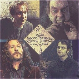 Create meme: Harry Potter, Sirius black and Remus Lupin and James Potter and Peter petigrew, sirius black