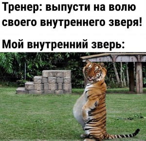 Создать мем: тигр прикол, тигр ждет, тигр