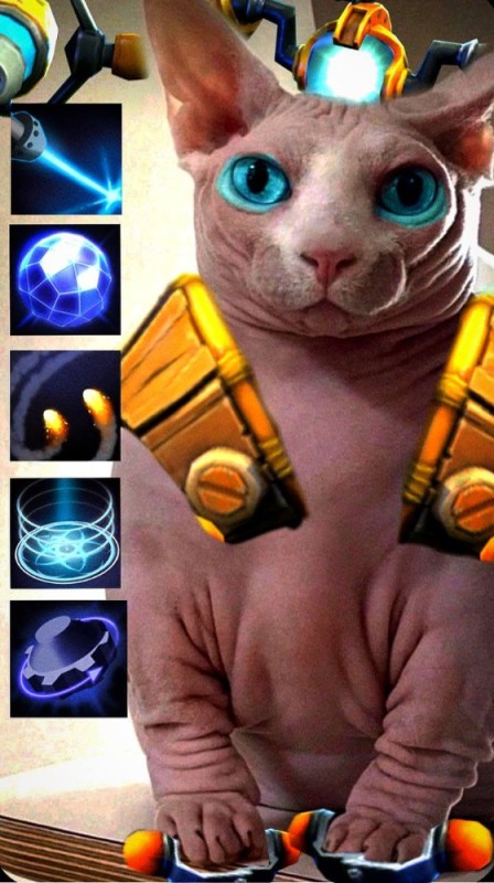 Create meme: the sphinx cat is fat, the sphinx is fat, Sphinx cat 