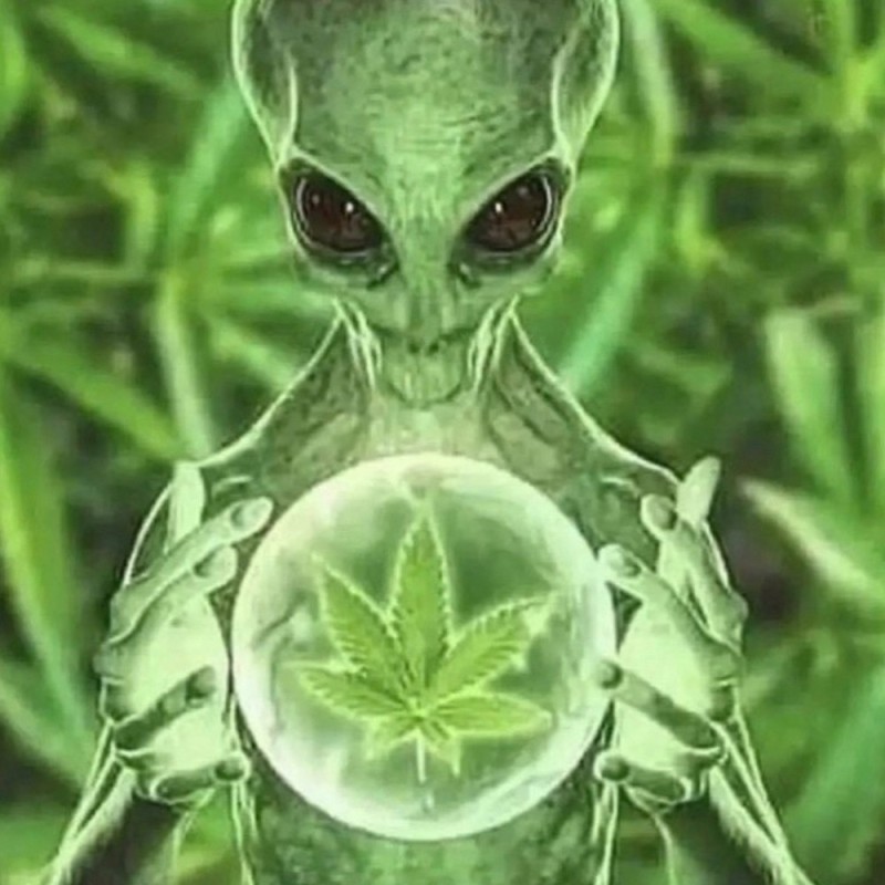 Create meme: An alien with marijuana, alien , aliens