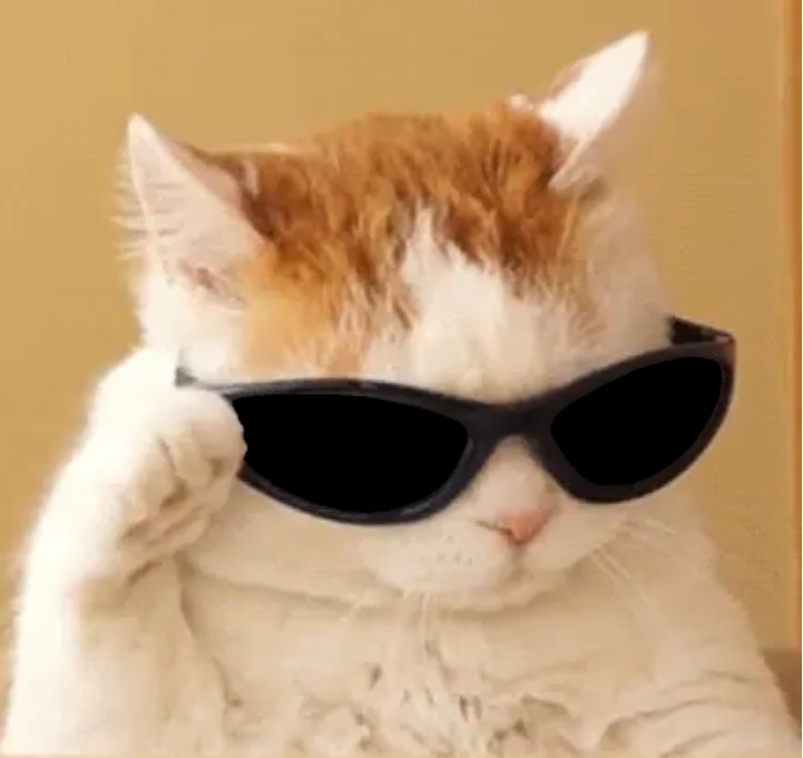 Create meme: cat meme without background, cat, cat with sunglasses meme