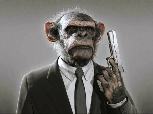 Create meme: people, a monkey with a gun