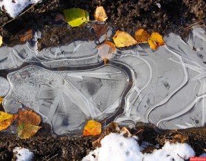 Create meme: puddle, frozen puddle, frozen puddles photo