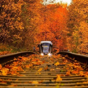 Create meme: autumn train, the autumn tram pictures, autumn