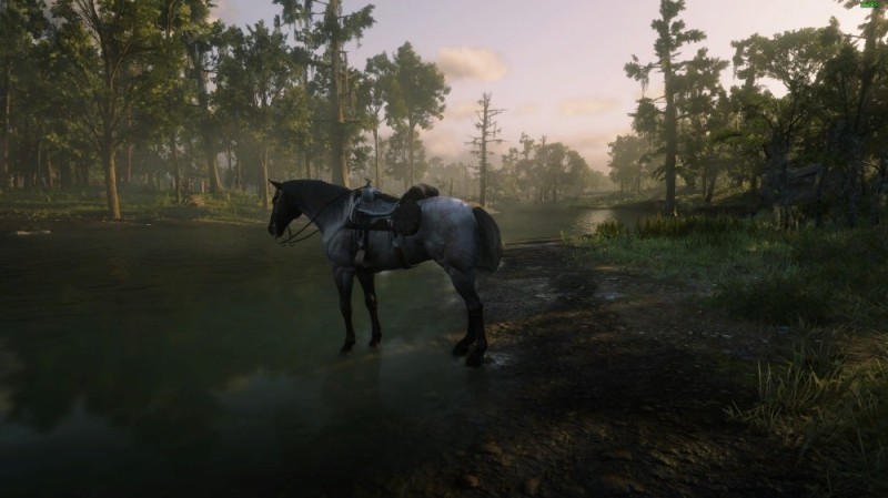 Create meme: red dead redemption 2, the game is red dead redemption 2, the game the Witcher