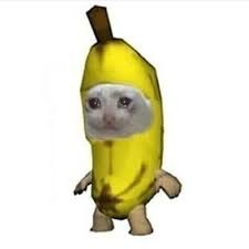 Create meme: animals funny, banana