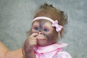 Создать мем: маленькие обезьянки, настоящих обезьянок, обезьяна игрушка