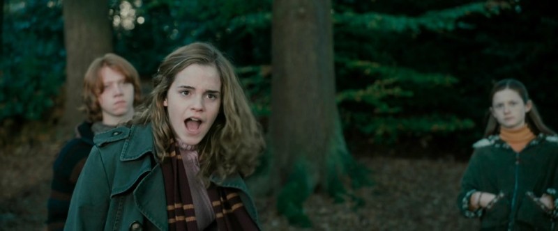 Create meme: harry potter hermione granger, harry potter hermione, Harry Potter 