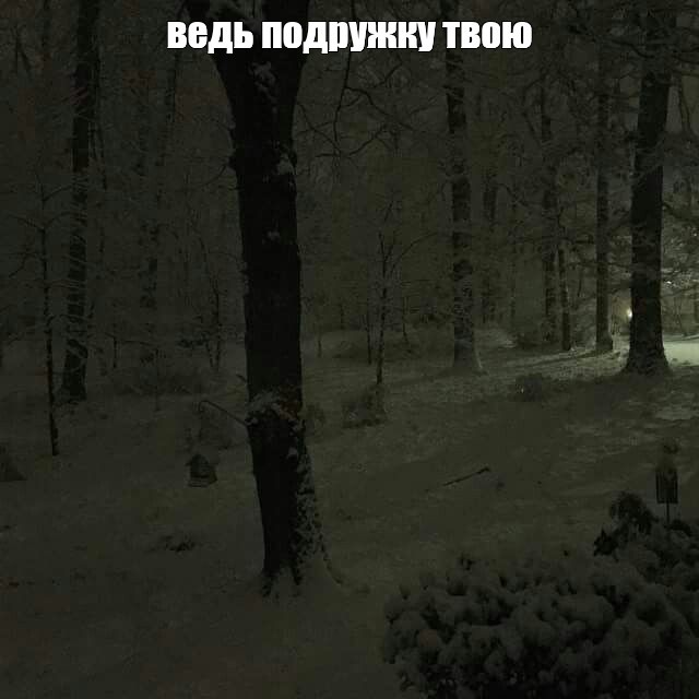 Create meme: gloomy winter forest, gloomy winter, dark forest at night