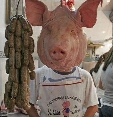 Create meme: pig's head , meat pig, the pig's head