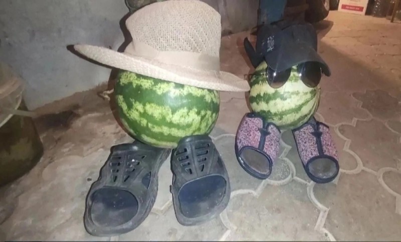 Create meme: watermelon helmet, watermelon day, crafts of watermelon