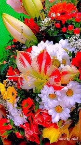 Create meme: beautiful flowers, colorful flowers, flowers