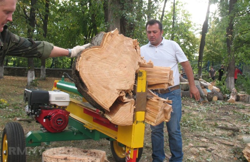 Create meme: wood - cutting machine gorynych, lancman sl 10 el wood cutting machine, manual woodcutter