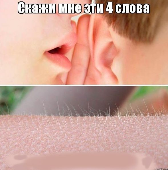 Картинка шепчет на ухо