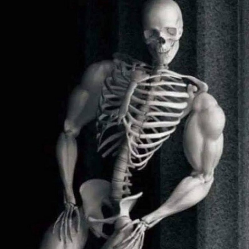 Create meme: skeleton , human skeleton, the skeleton man