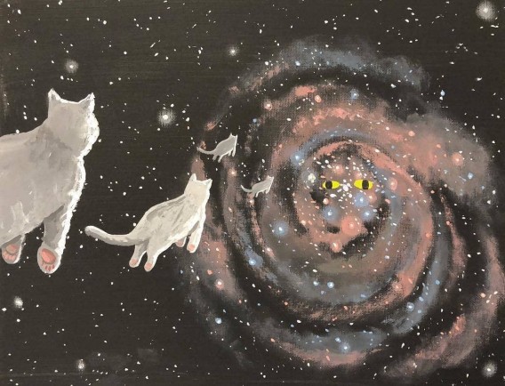 flying cats in space