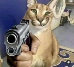 Создать мем: кот шлепа, шлепа с пистолетом, каракал гоша