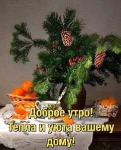 Создать мем: доброе зимнее утро хорошего, зимний натюрморт, доброго зимнего вечера