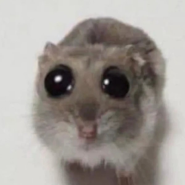 Create meme: meme hamster , hamster , the hamster meme