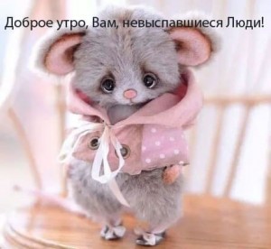 Create meme: good morning you sleepy, good morning mouse, good morning mouse pictures