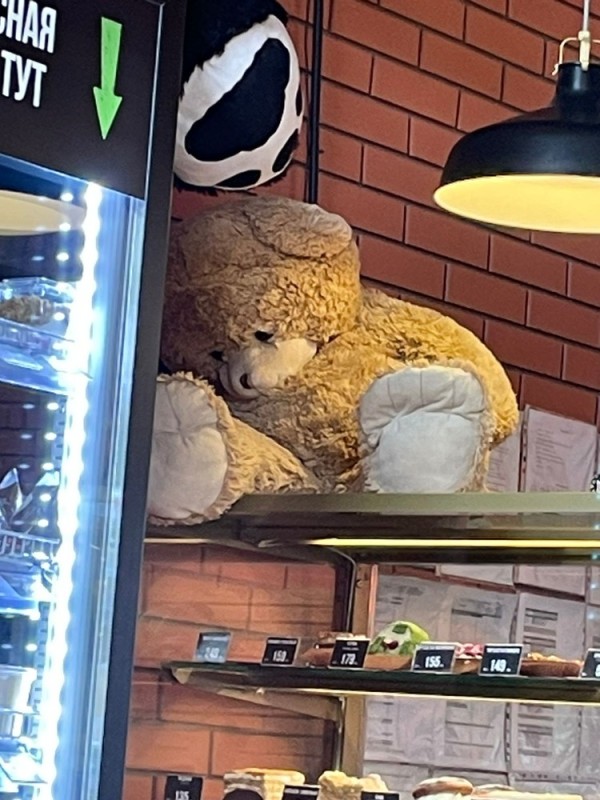 Create meme: mishka bakery, mishka bakery, cafe with teddy bears