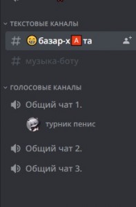 Создать мем: приветствие в дискорд канале, дискорд канал, приложение дискорд