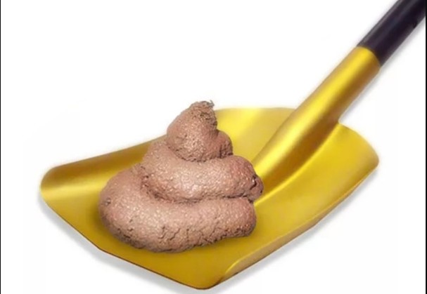 Create meme: turd , turd turd, poop on a shovel