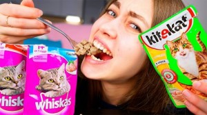 Create meme: Whiskas, cat food, whiskas