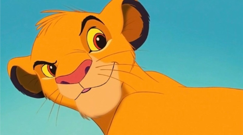 Create meme: cartoon the lion king, Simba the lion, lion king simba the lion cub