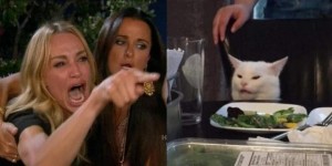 Create meme: girl yelling at the cat, the meme with the cat and the girls, meme the cat and two girls