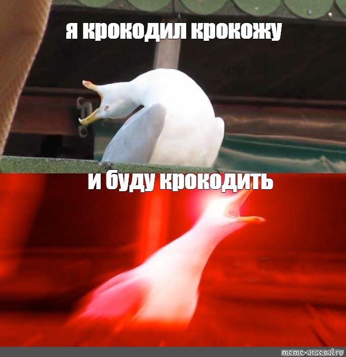 Я крокодил крокожу