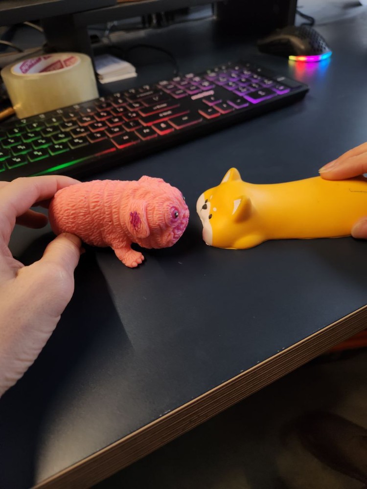 Create meme: toy , anti-stress toy, antistress toy myalka